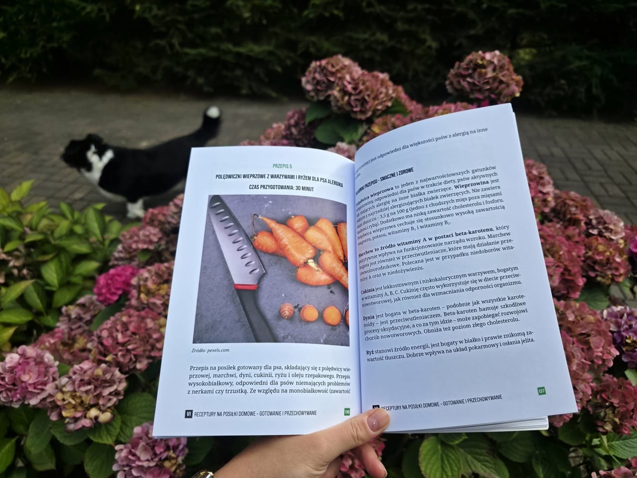 Pakiet: książka i e-book „Powiem Ci, co włożyć do psiej miski” - obrazek 9