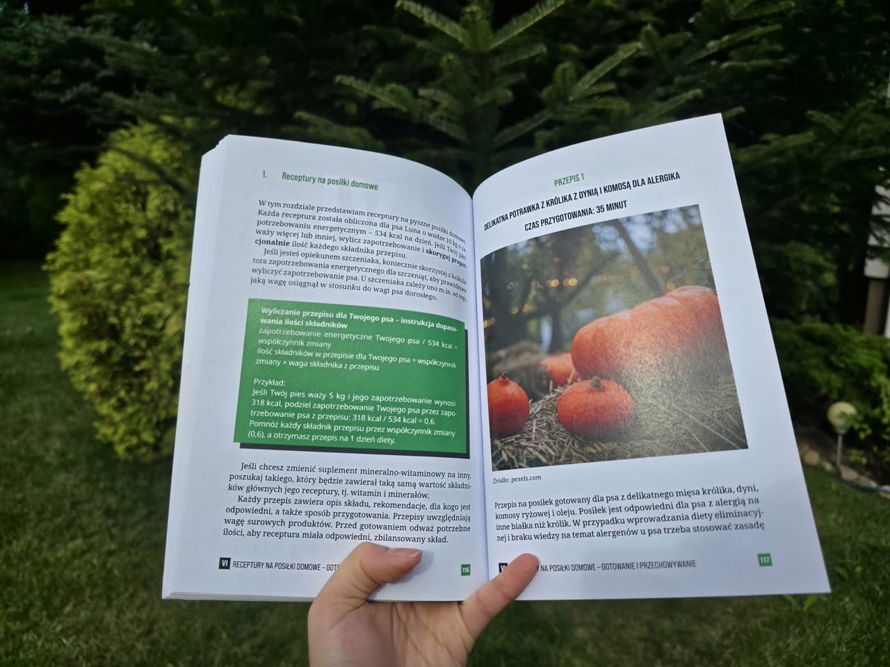 Pakiet: książka i e-book „Powiem Ci, co włożyć do psiej miski” - obrazek 8