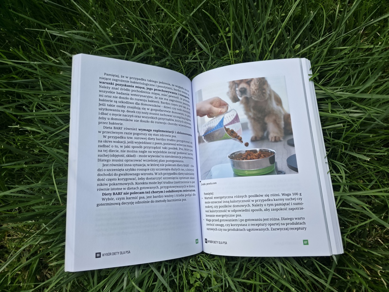 Pakiet: książka i e-book „Powiem Ci, co włożyć do psiej miski” - obrazek 7